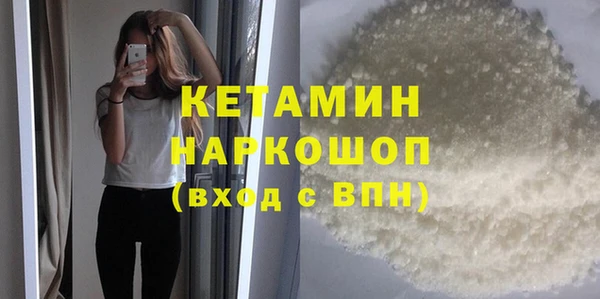 сатива Новодвинск