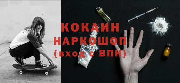 сатива Новодвинск
