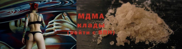 сатива Новодвинск