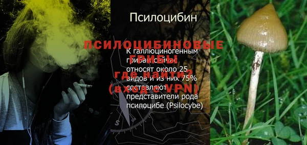 стафф Нея