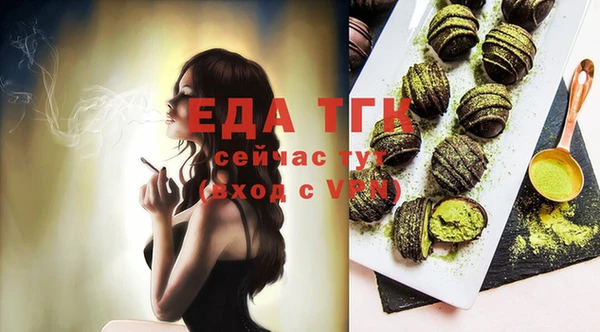 сатива Новодвинск