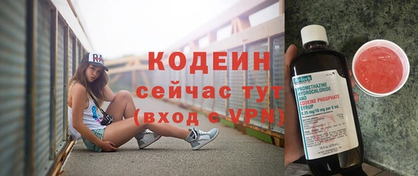 сатива Новодвинск