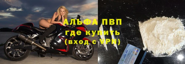 сатива Новодвинск