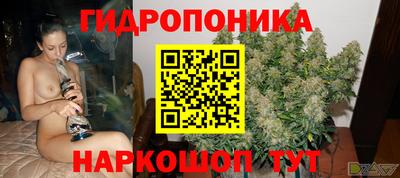спайс Кандалакша