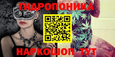 спайс Кандалакша