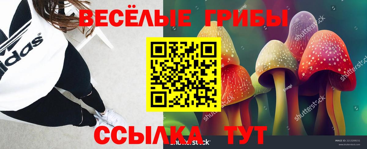 Галлюциногенные грибы прущие грибы Североморск