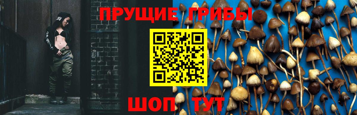 Вейп ТГК  Амфетамин   NBOMe  MDMA  A PVP СК   Североморск  ГАШИШ  COCAIN  Меф   МАРИХУАНА  Вход с VPN 