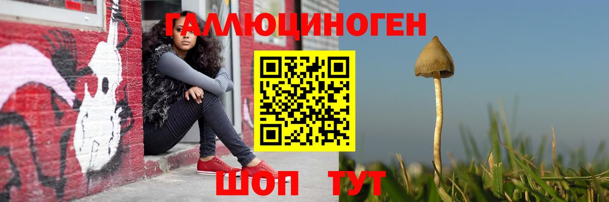 Галлюциногенные грибы MAGIC MUSHROOMS  Вход с VPN  Североморск 