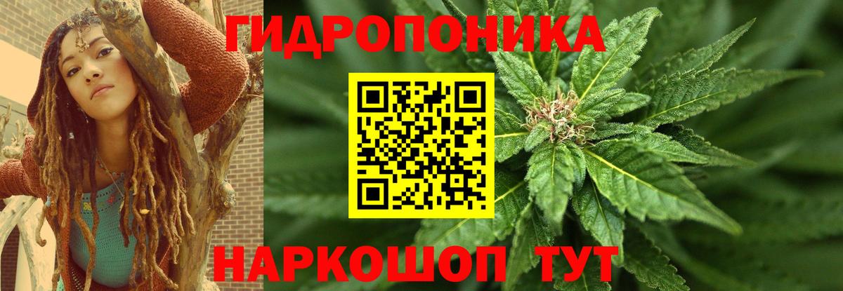 Шишки марихуана OG Kush  Конопля план  Североморск  МАРИХУАНА семена  Вход с VPN  Бошки марихуана тримм 